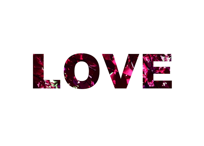 Love - Pink petals