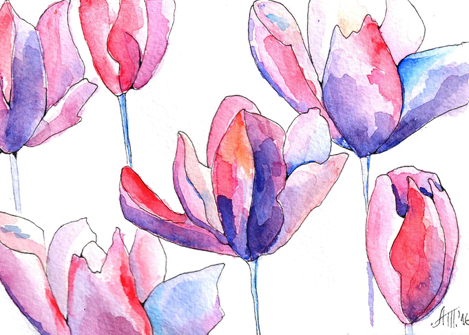 Purple Magnolias