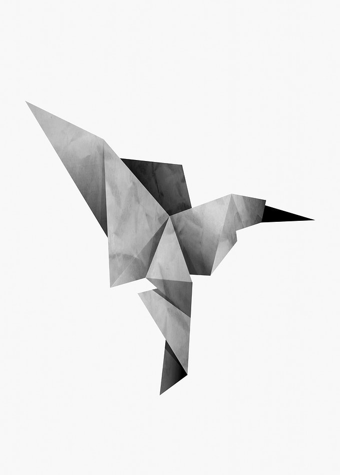 BIRD 2