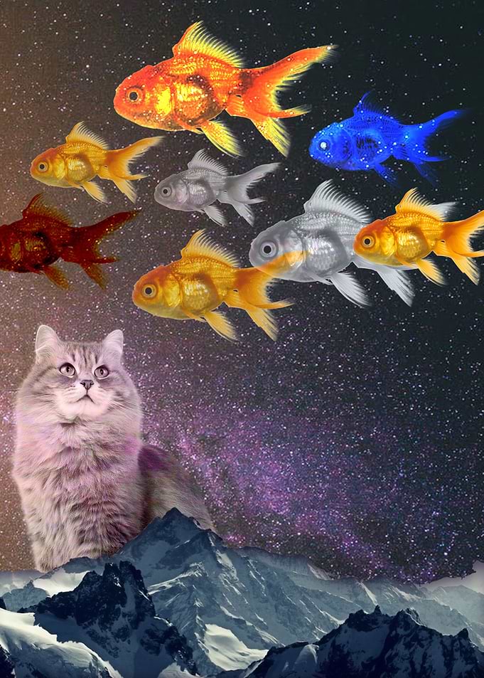 Space Kitty