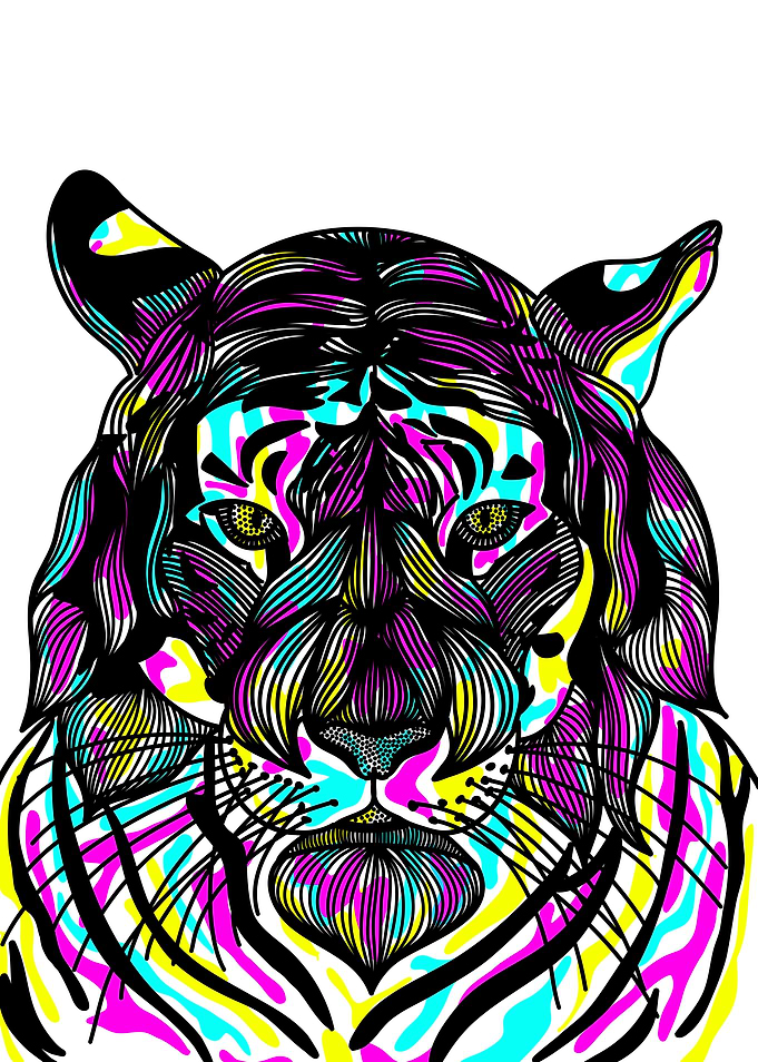 Tiger tiger
