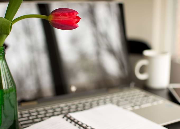 Creativity Peaceful Work