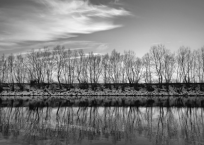Reflections of life