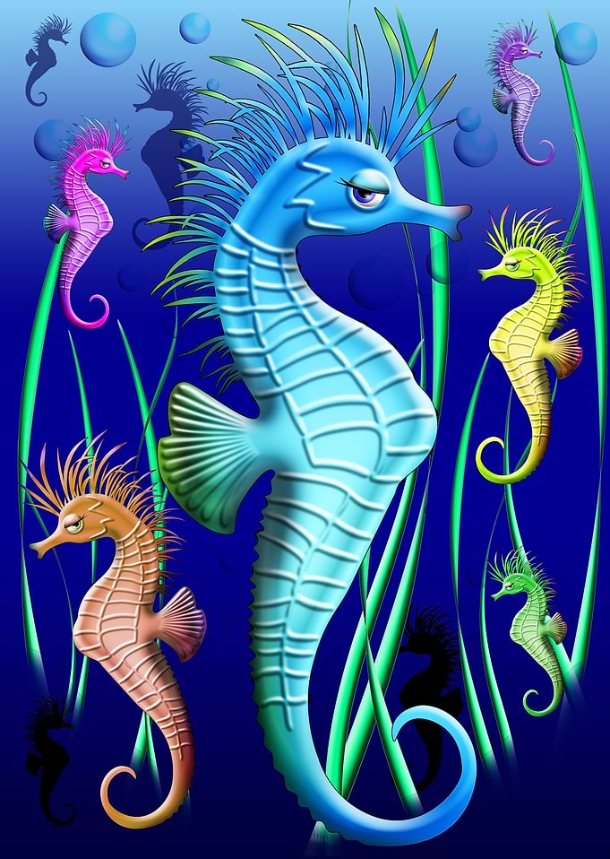 Seahorses Underwater Scenery