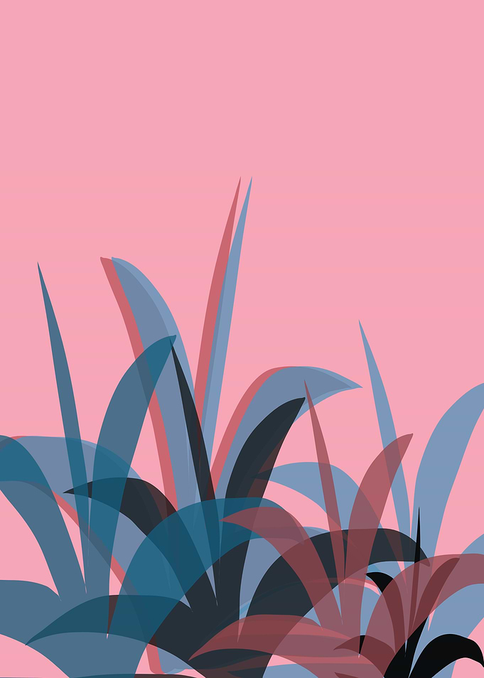CANDY SUNRISE