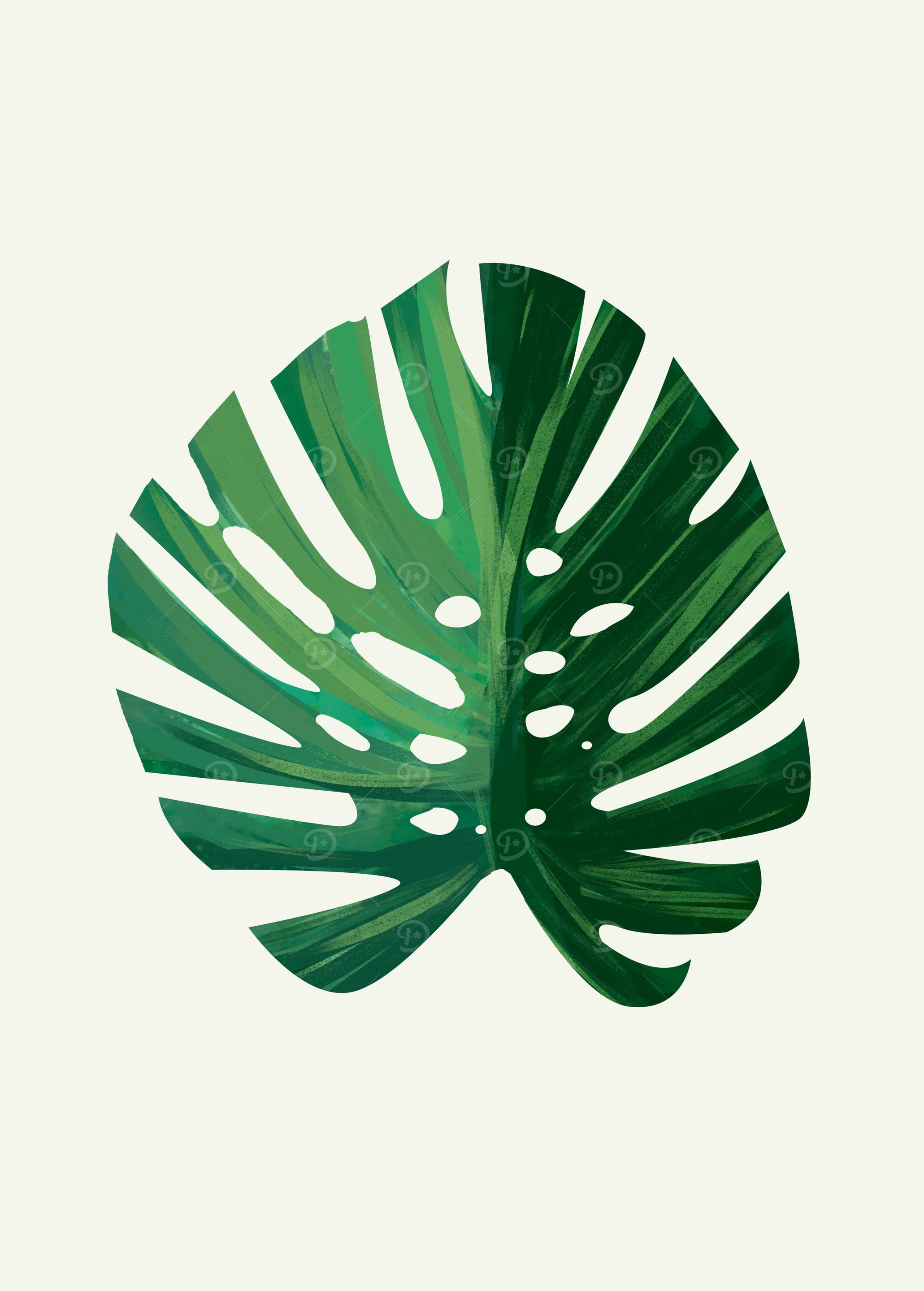 Monstera - Leaf 3