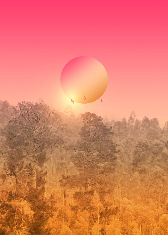 Landscape & gradients VIII