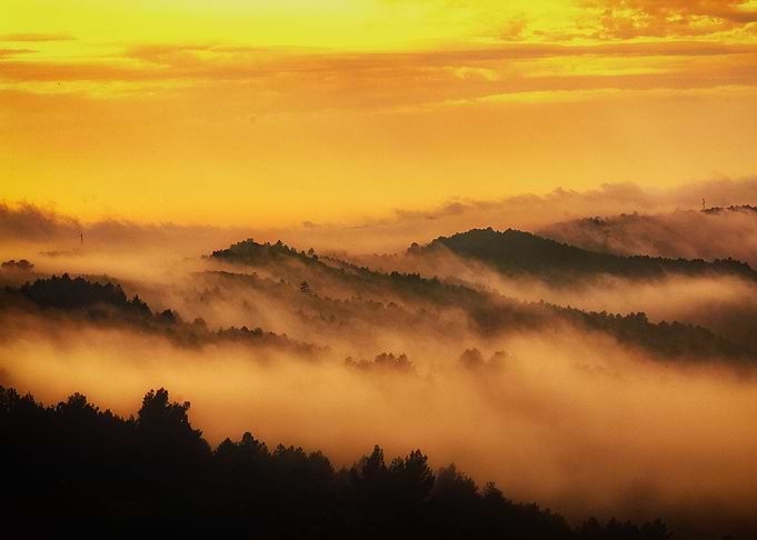 Foggy morning