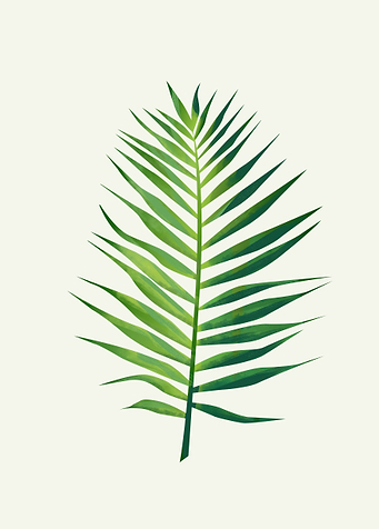 Palm Leaf