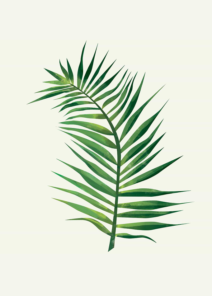 Palm Leaf 2
