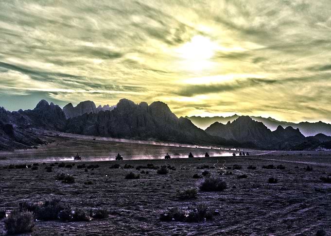 Safari in Sinai