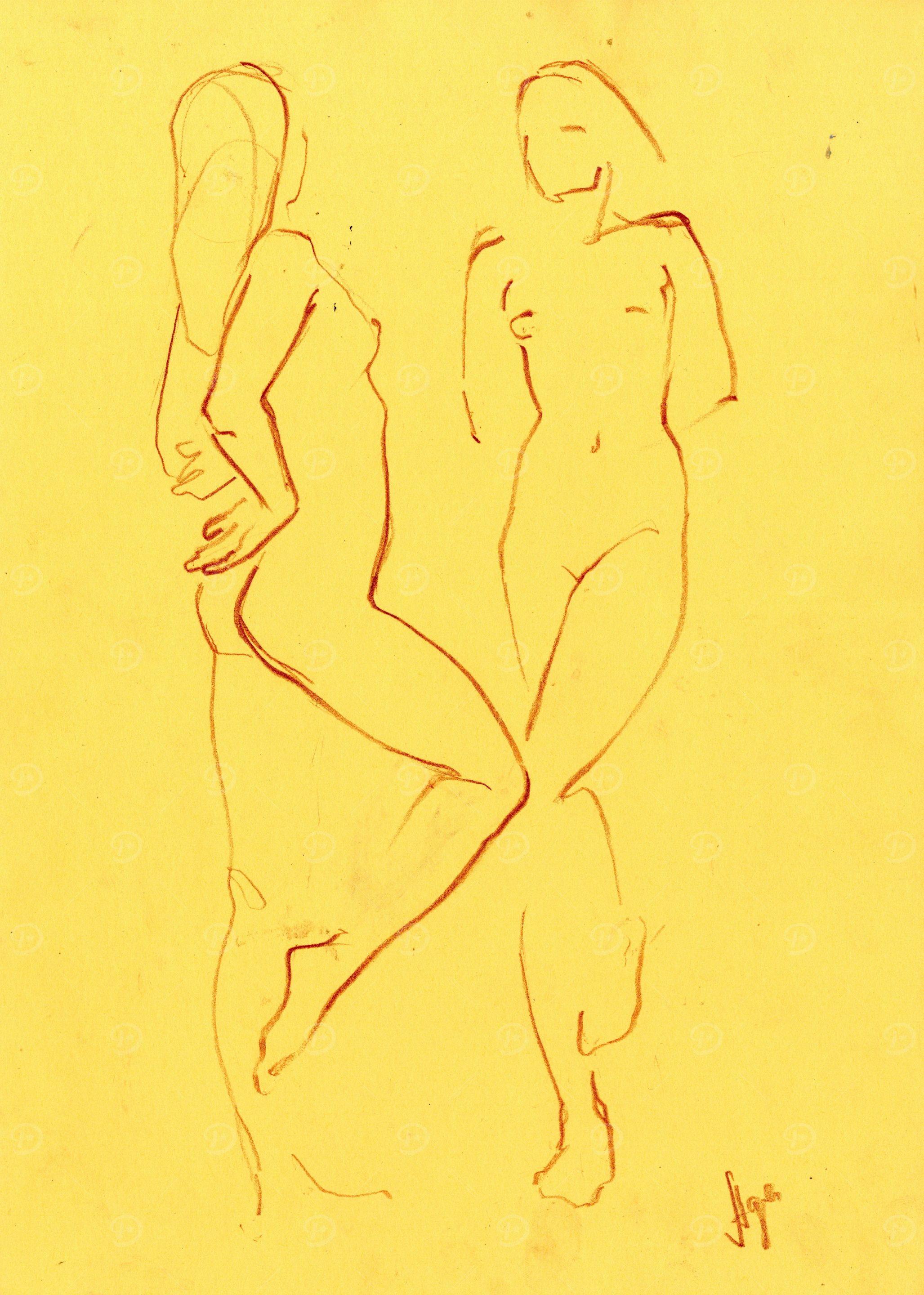 Sketch