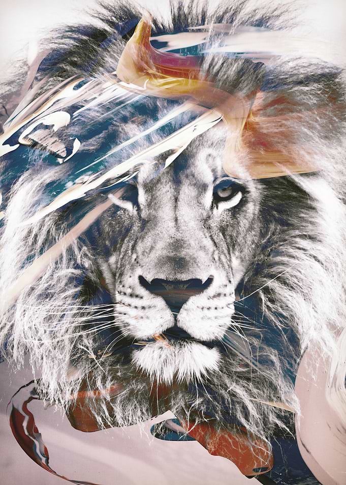 LION 6