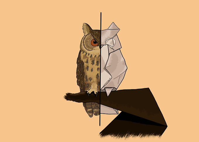 Owligami