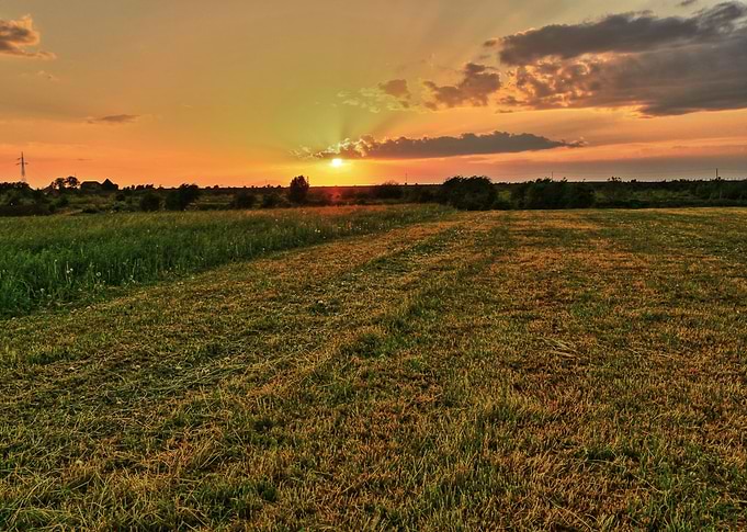 My favorite color is definitely the SUNSET