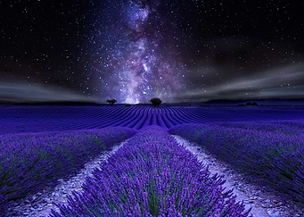 Under the Stars