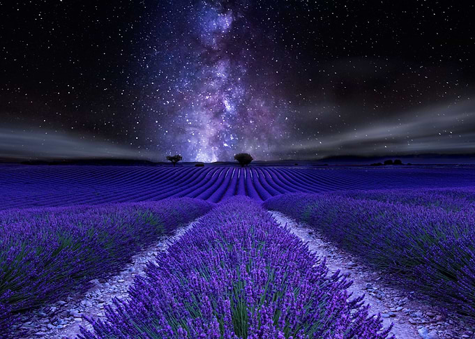 Under the Stars