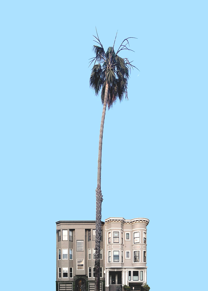 1016 • Perspective