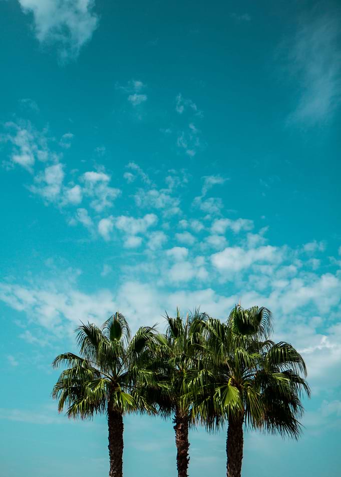 Good vibes. Landscape