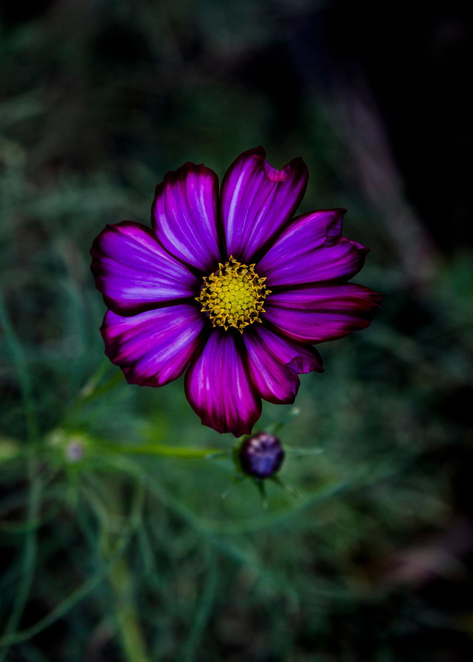 Floral autumn