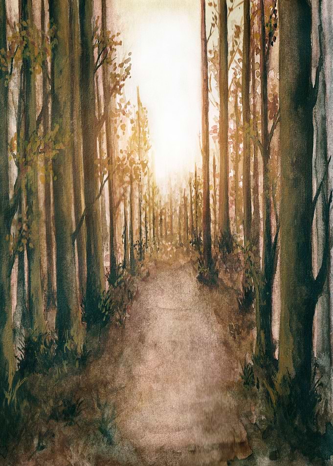 Into The Forest XI