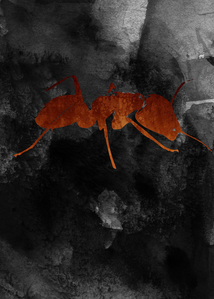 Ant Animal Watercolor Artwork