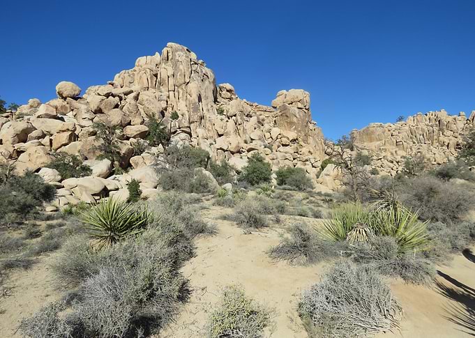 Desert