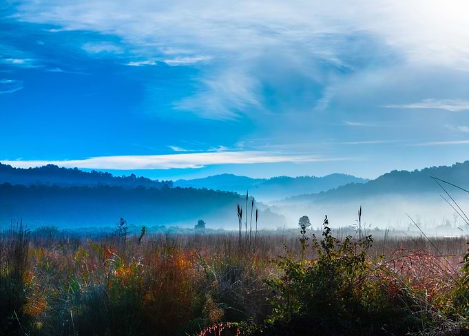 Morning Mist