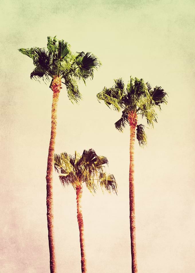 PASTEL PALM TREES no2
