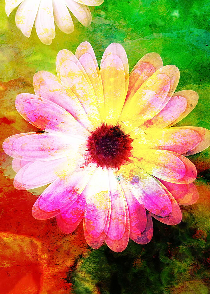 Flower pink