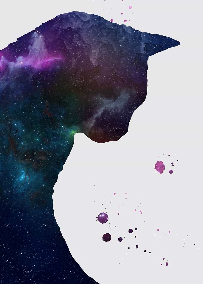 Cat nebula