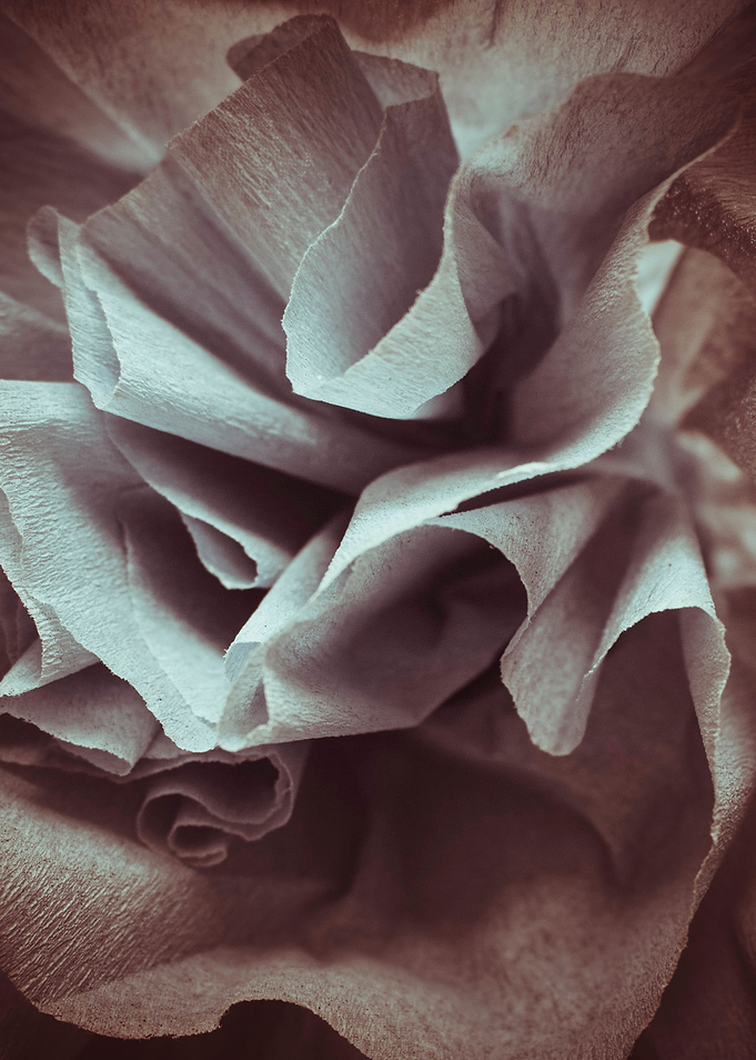 Paper rose