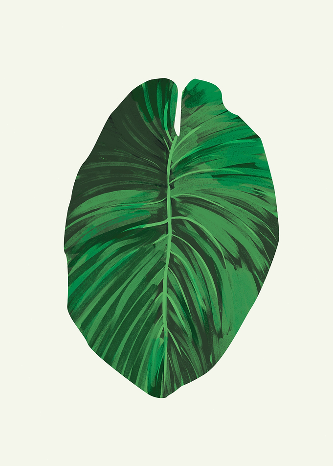 Tropical Leaf