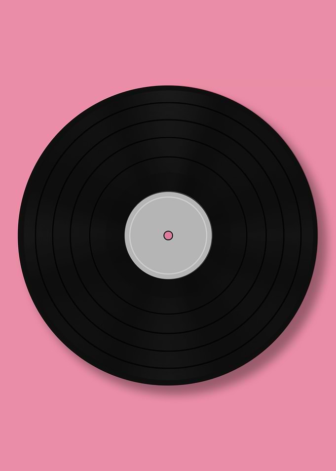 Vynil