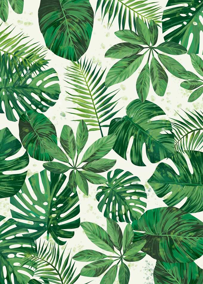 Tropical Pattern