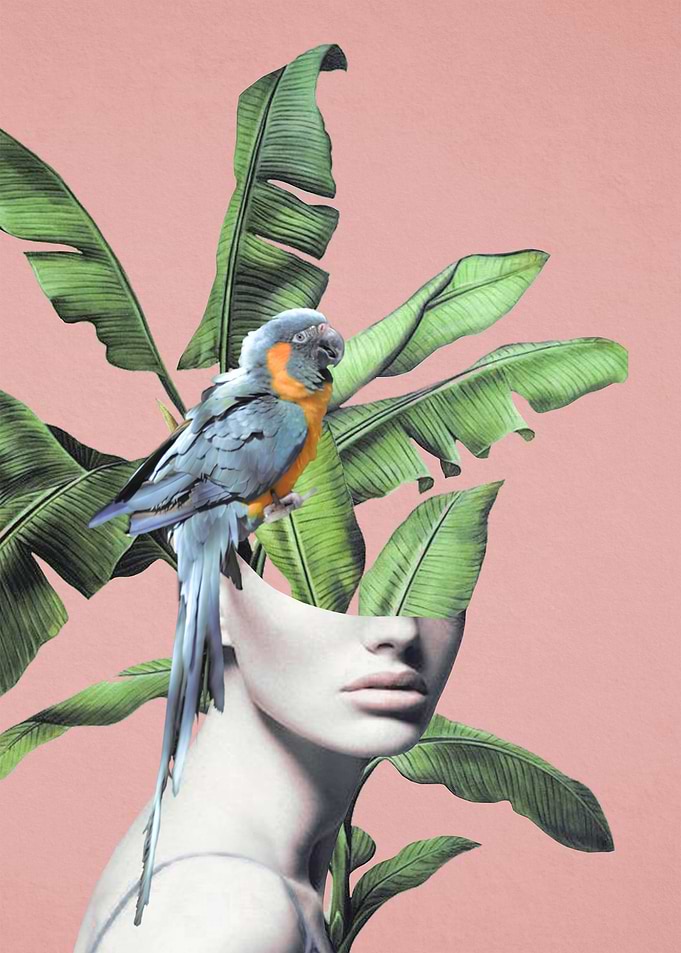 Tropical Girl 2