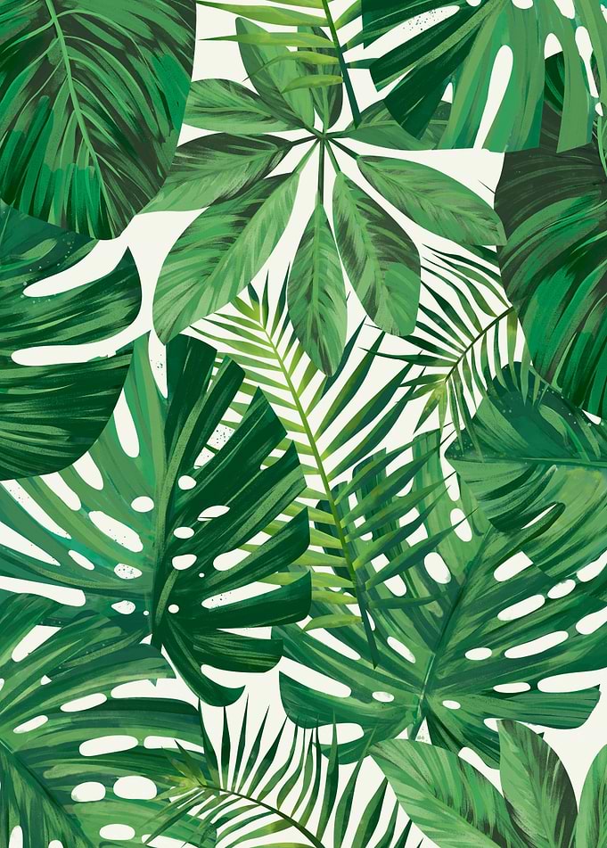 Tropical Pattern
