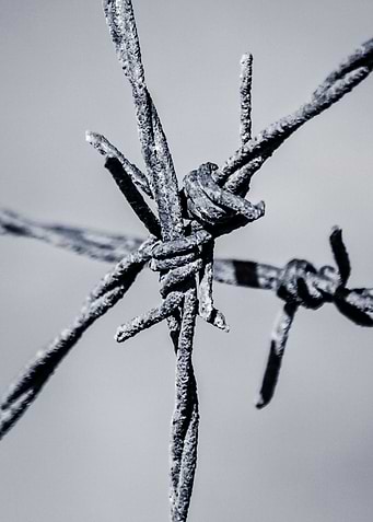 The fence