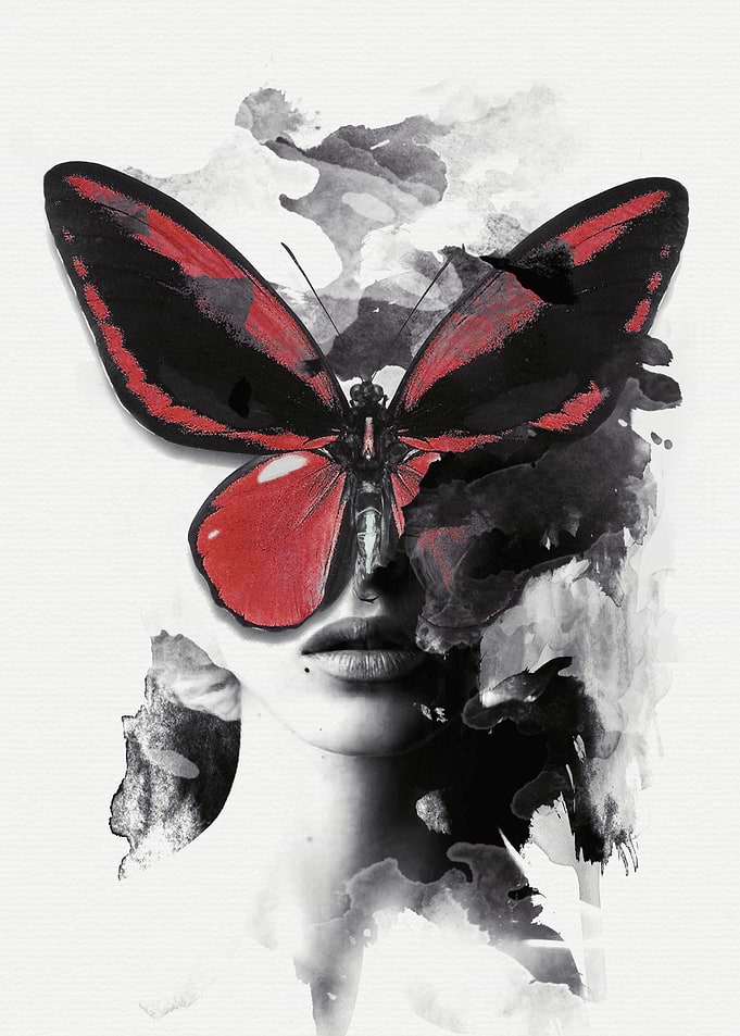 Red Butterfly