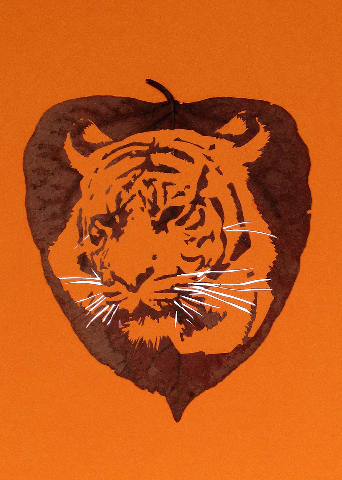 Warsaw Zoo tiger cut in a leaf.