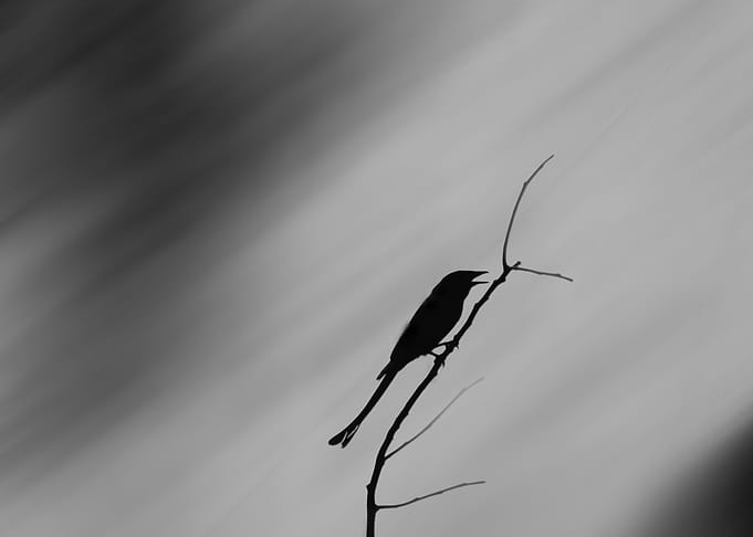 alone