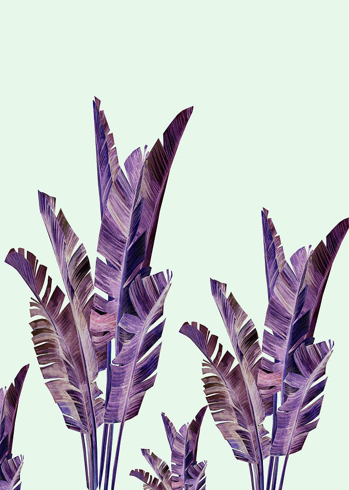 Banana leaves over green background