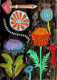 Gardening At Night