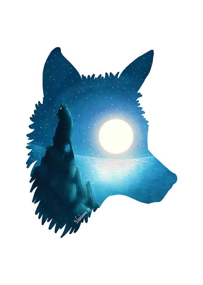 Midnight Wolf