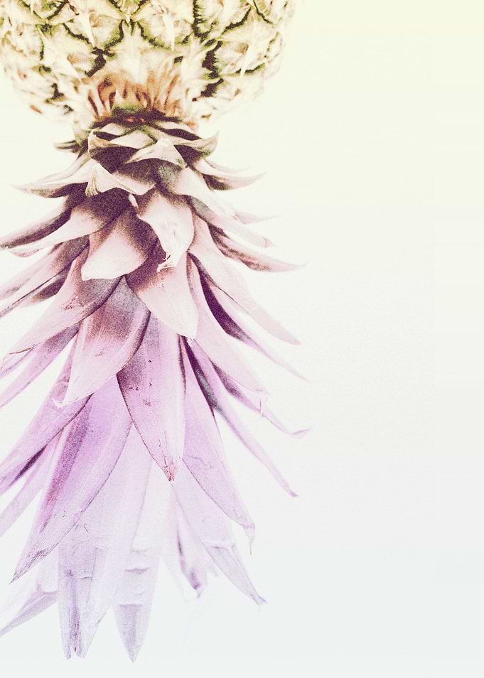 PASTEL PINEAPPLE no2d
