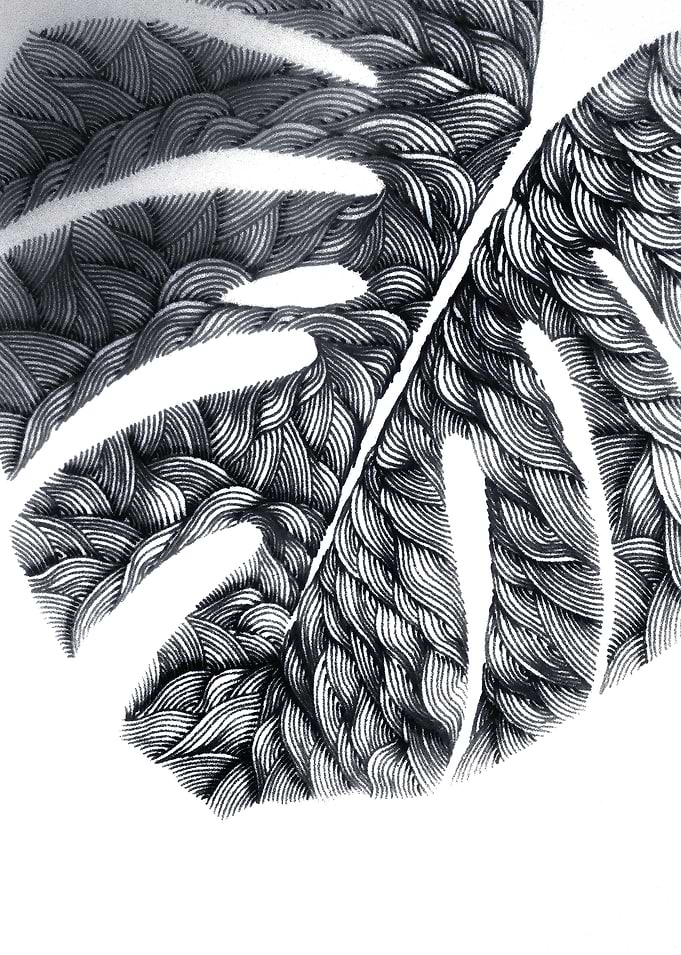 Line monstera