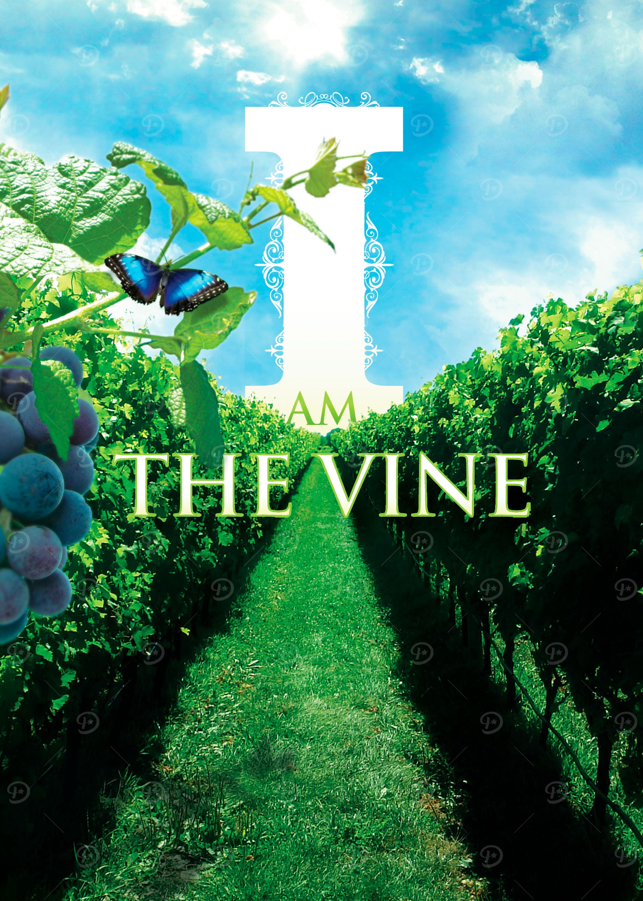 I Am The Vine