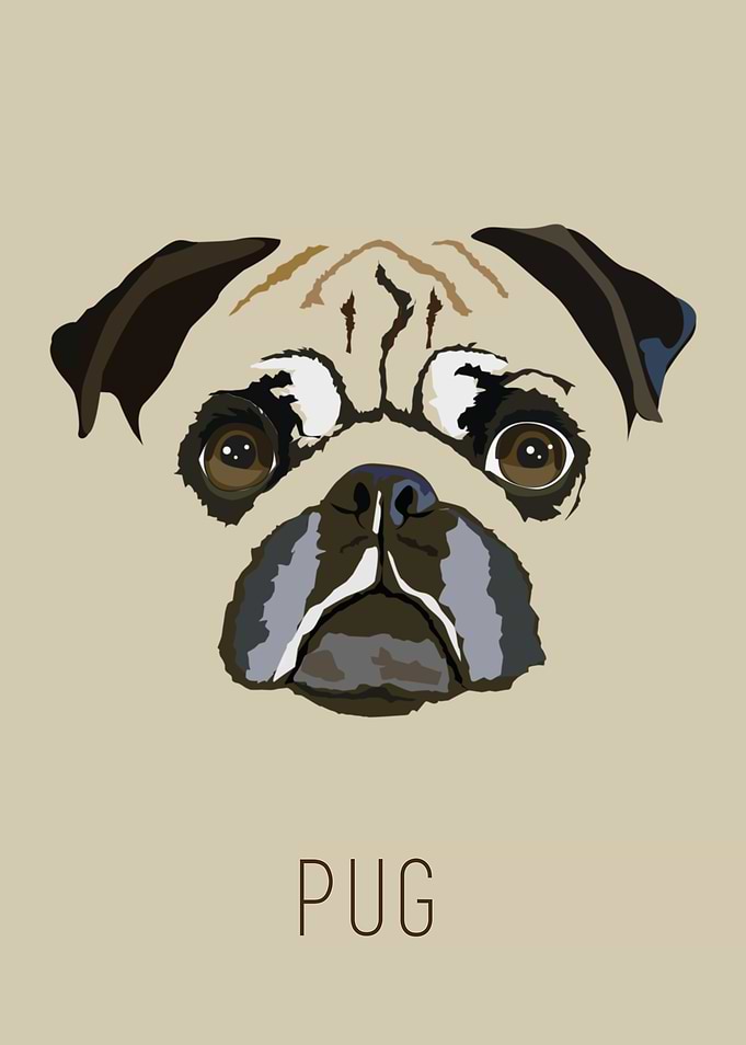 love pug