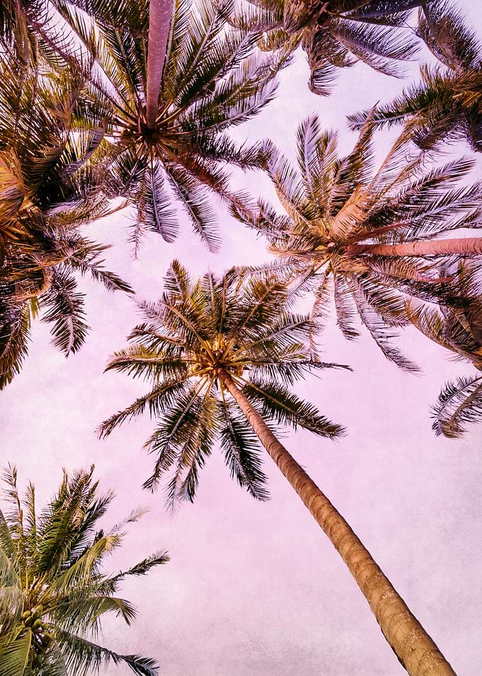 PASTEL PALM TREES no5a