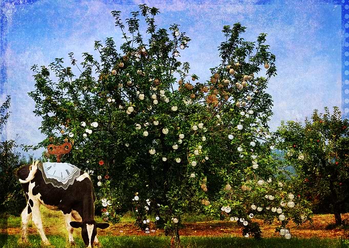 Pocket Watch Tree